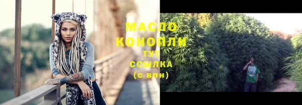 мдпв Краснослободск