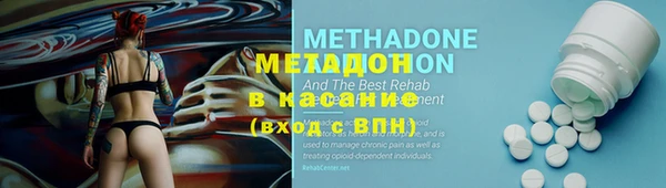 мдпв Краснослободск