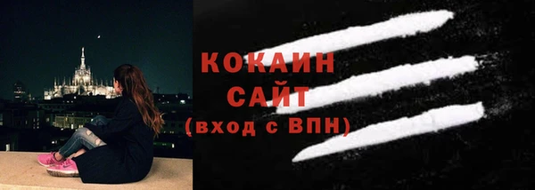 мдпв Краснослободск
