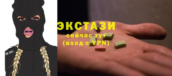 мдпв Краснослободск