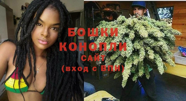 мдпв Краснослободск