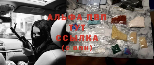 мдпв Краснослободск